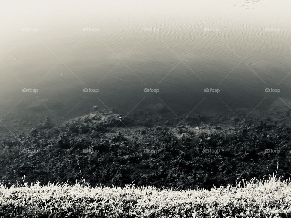 What lies beneath the water, who knows?