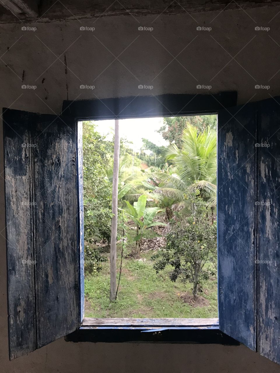 Simplicidade na beleza natural. 