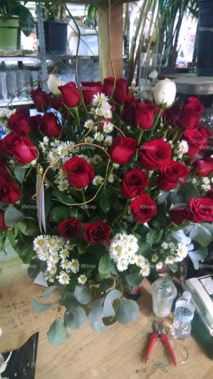 Lots of red roses