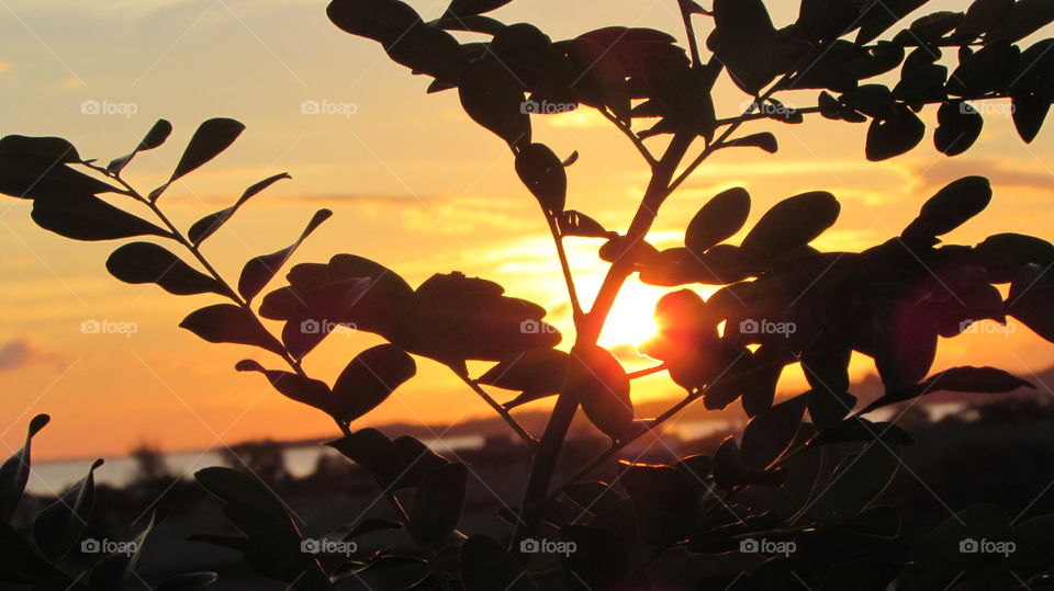 Amanheceu! Uma nova chance.