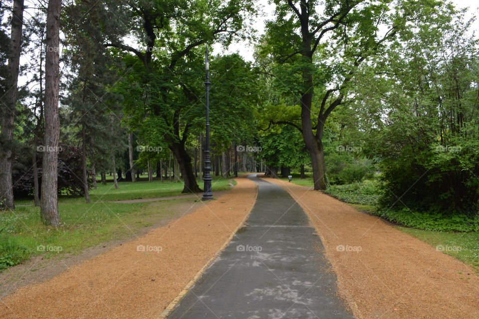 Pathways in a Park