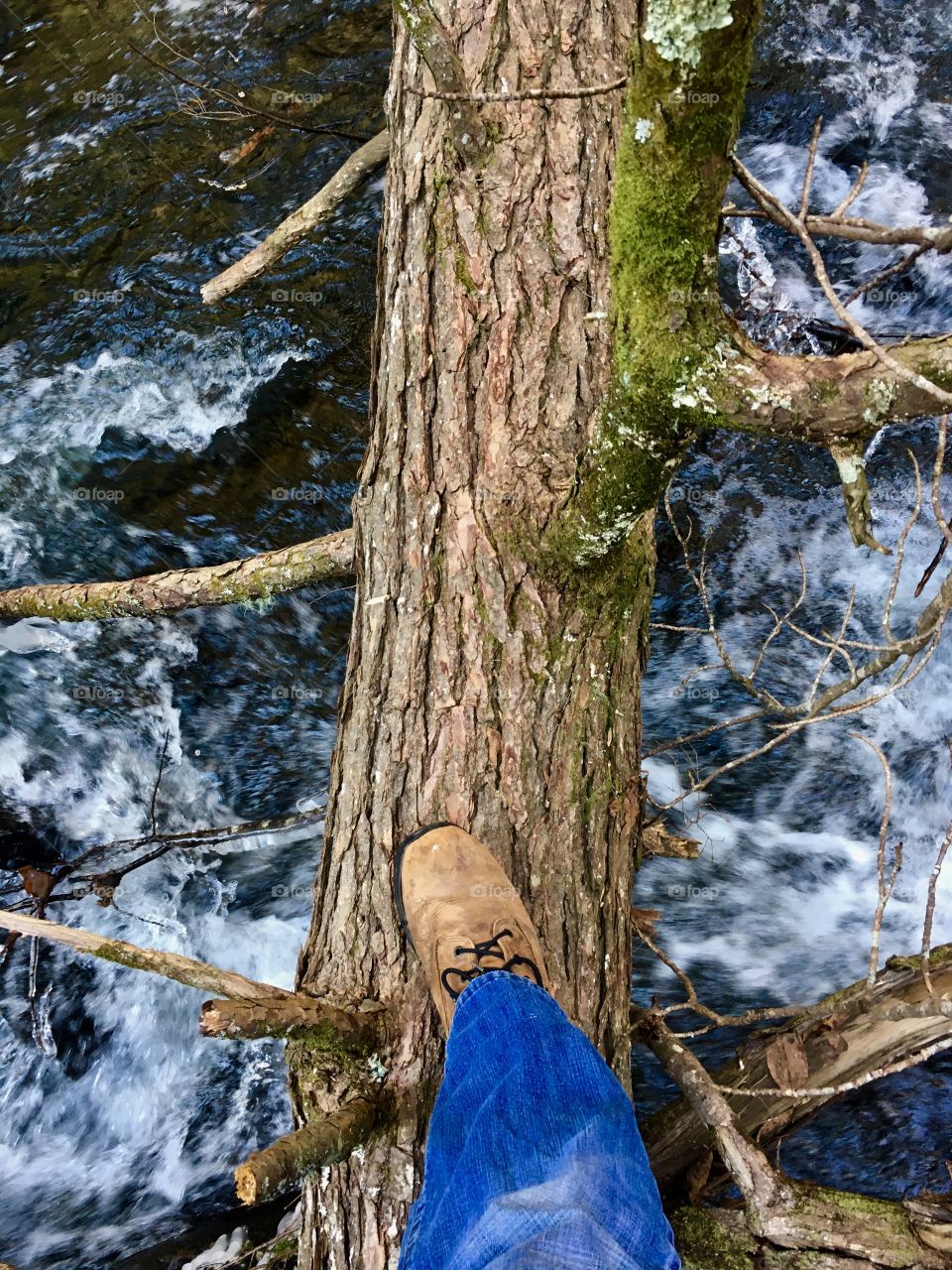 Hiking around Foster Falls in South Cumberland State  Park in Tennessee