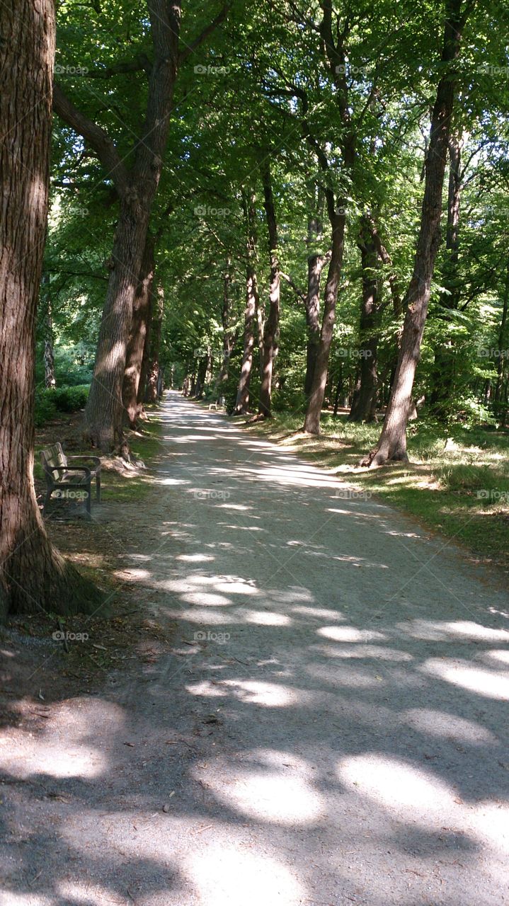 Park in Antwerp during summer