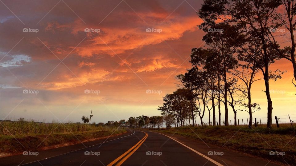 Landscape and road