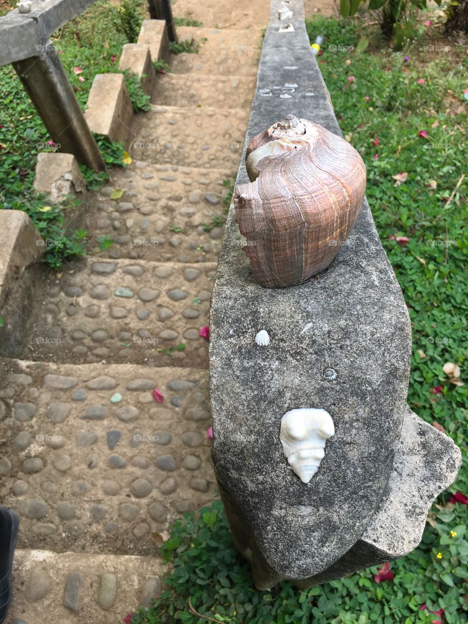 Various seashells in handrail