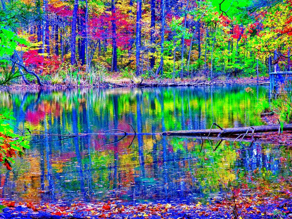 Painted lake in the fall. 