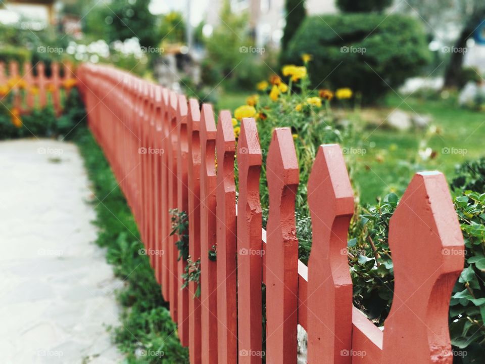 Nice Little Wooden Fence