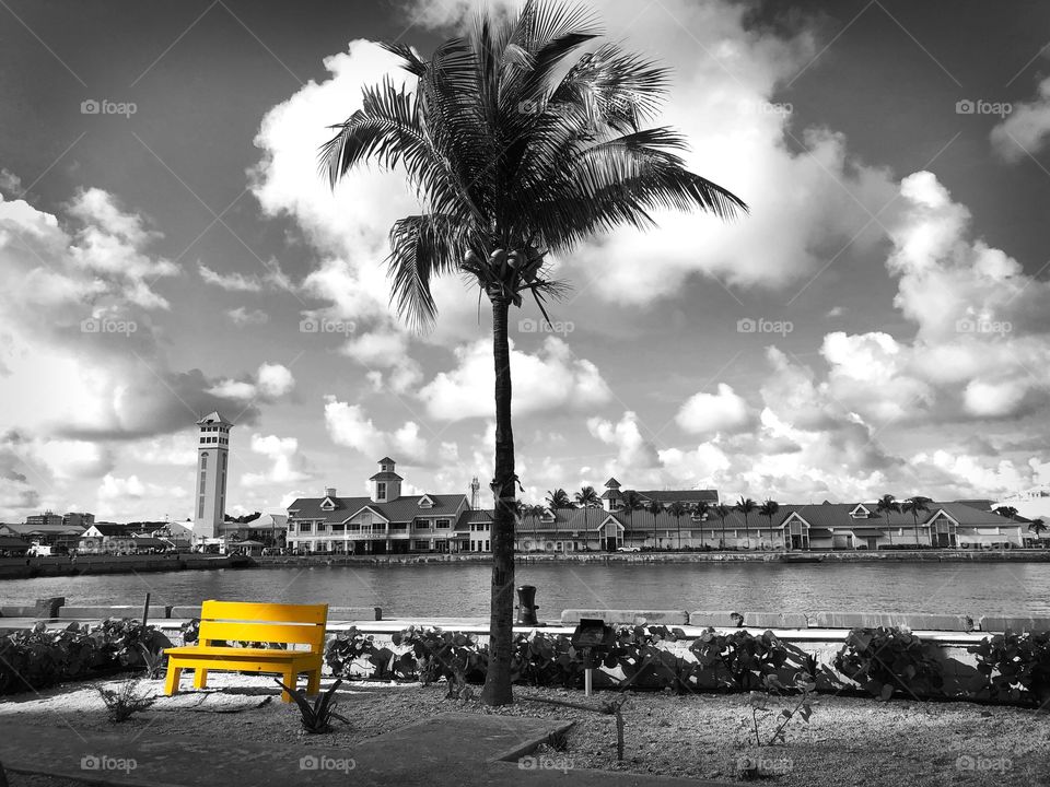 Yellow bench in Nassau Bahamas. Beautiful view