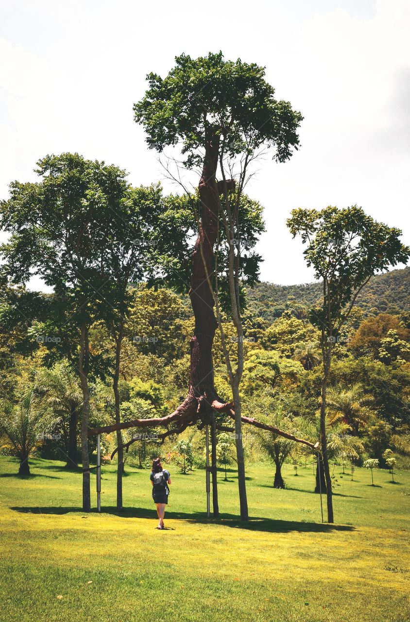 Art and Nature intertwine at massive park in Brazil