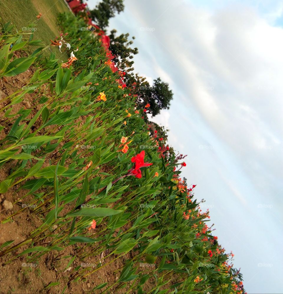 pemandangan yang sangat ndahi