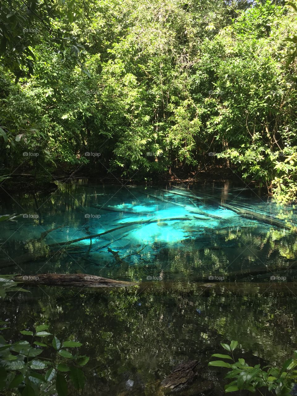 Emerald pool at Thailand