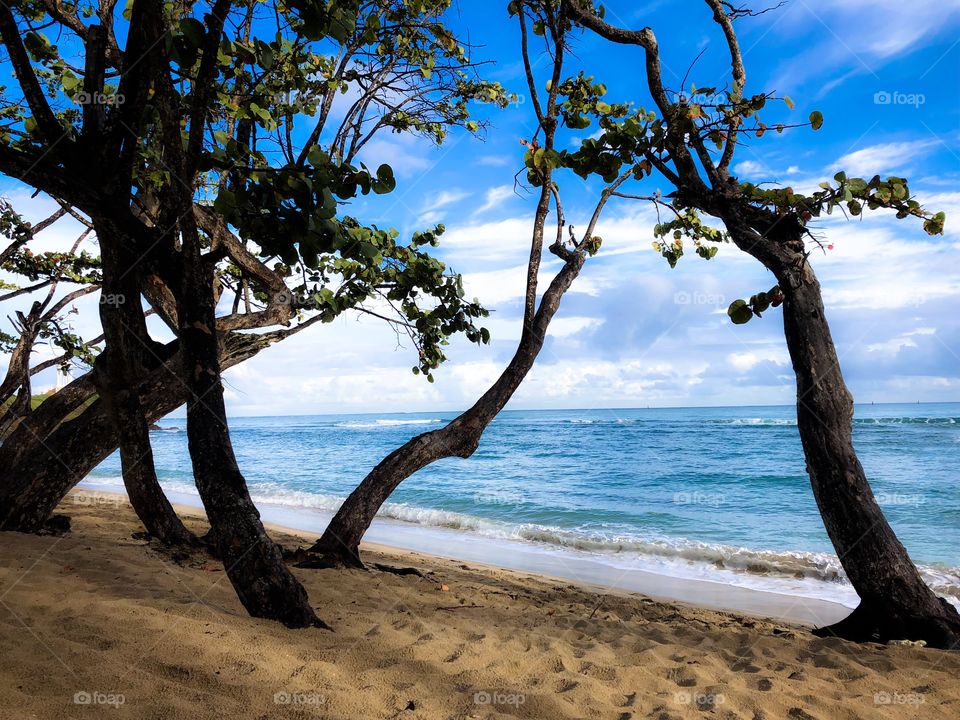 Beautiful beach 