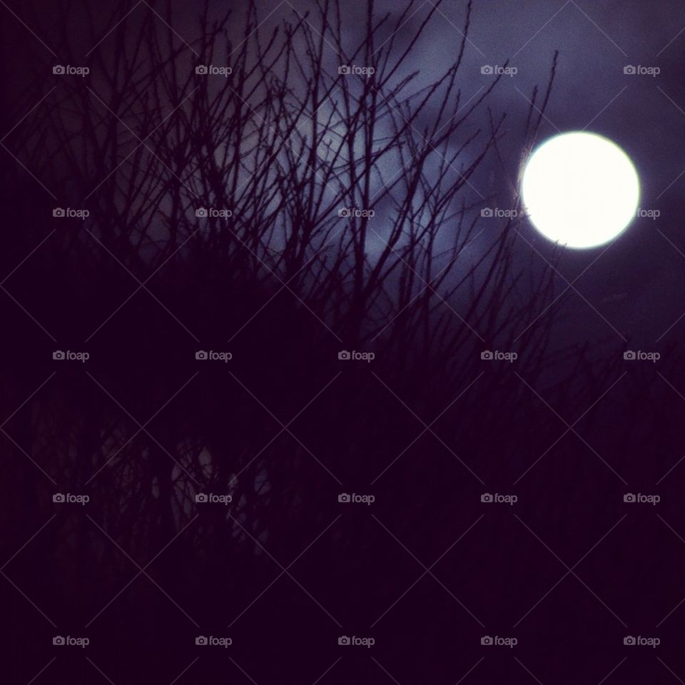 Full moon behind the trees