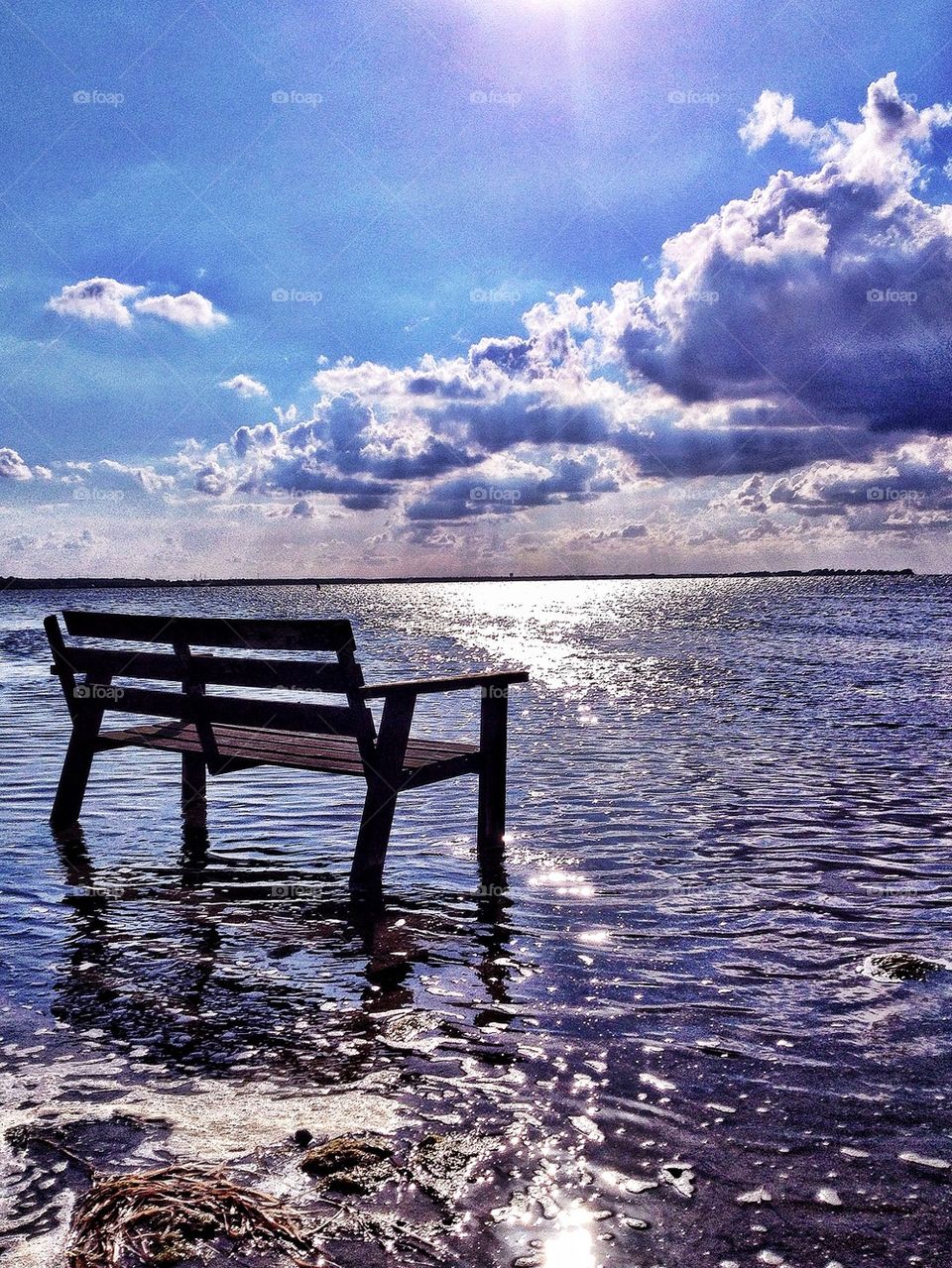 A bench with a view