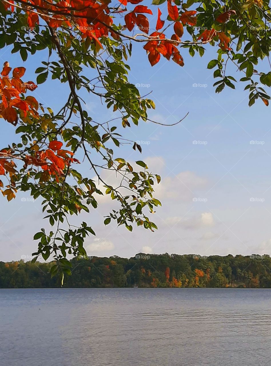 Lake Cowan in Fall