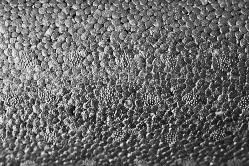 Creative Textures - styrofoam surface detail
