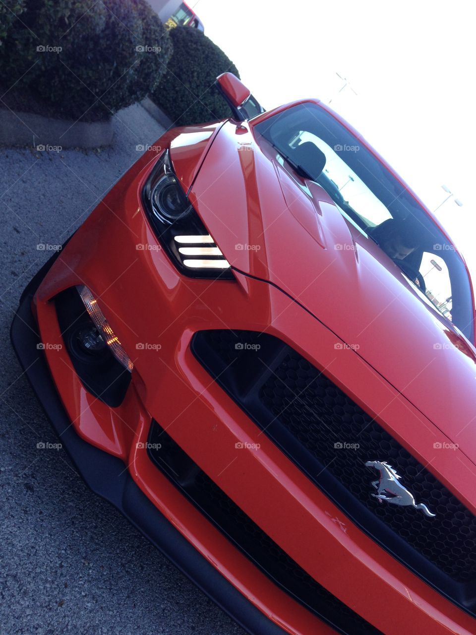 2015 red Ford Mustang. 2015 Mustang