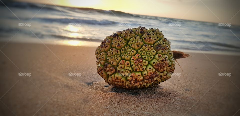 induruwa beach sri lanka