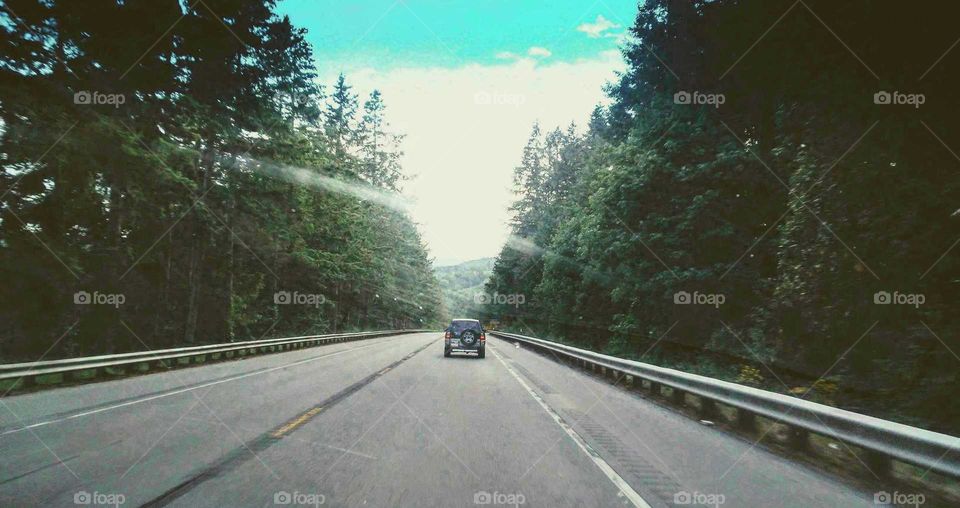 Travel, Explore, Discover, Olympic Peninsula, Washington, USA

Instagram username; anita.walter.796