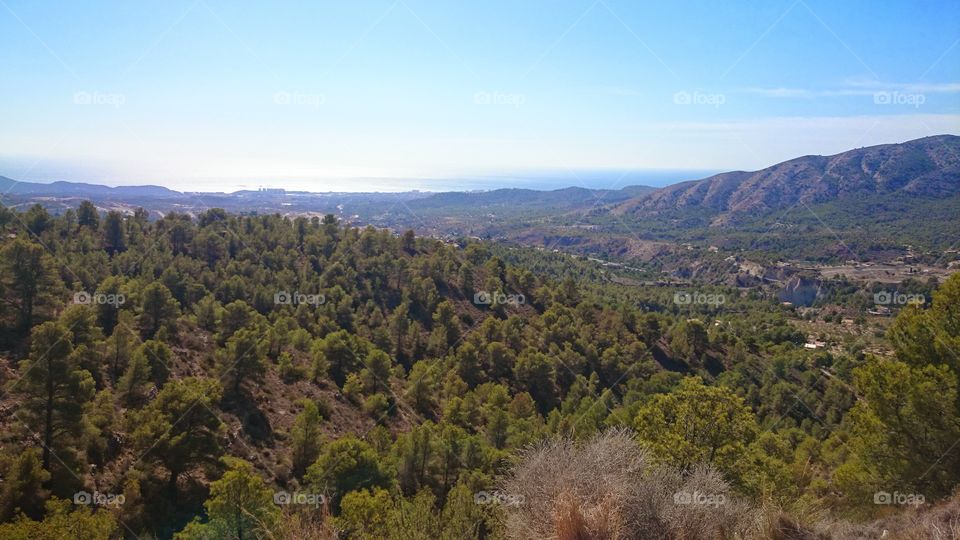 Forest#nature#greengrass#view#travel#adventure