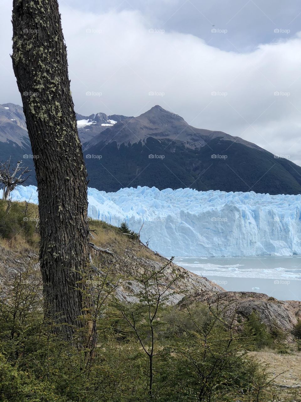 Argentina Sur Glaciar Hielos Montañas