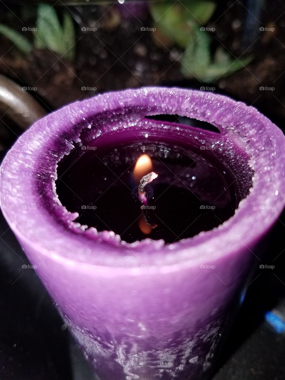Purple Wishes