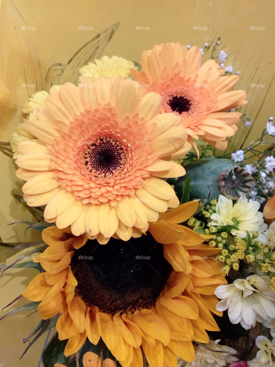 beautiful flowers and beautiful color