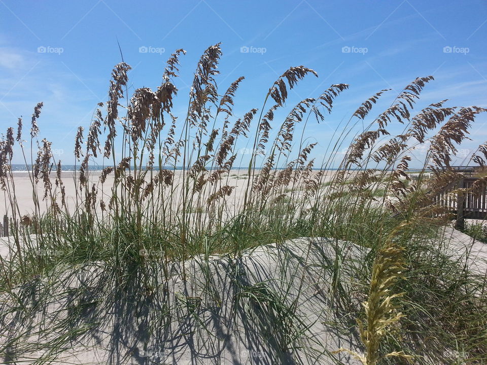 sand dunes