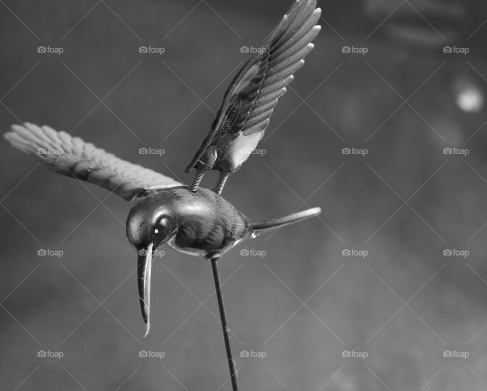 macro shot of a garden decor hummingbird