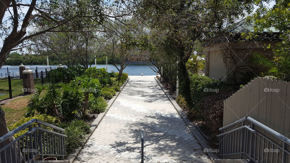 Pathway to the Bay
