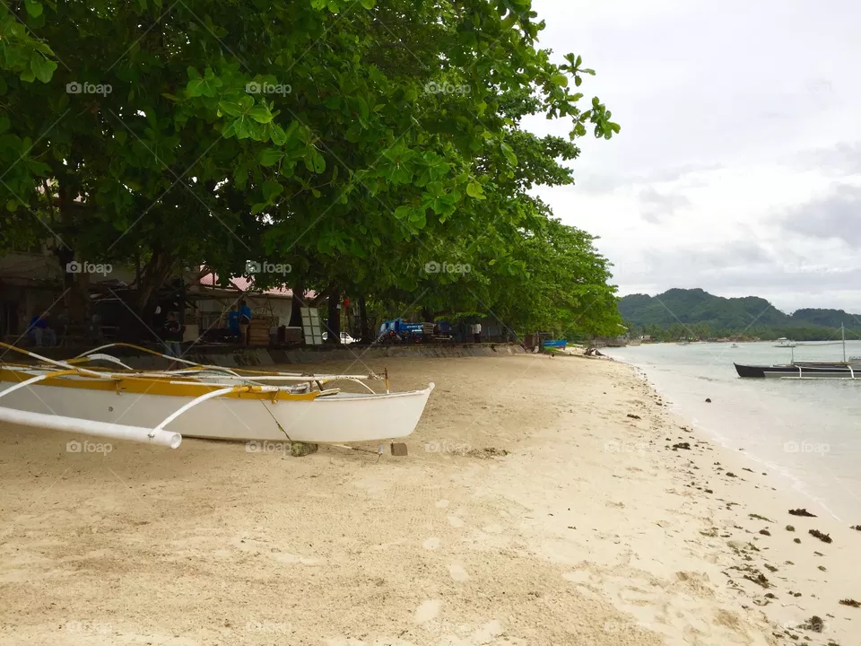 Beach