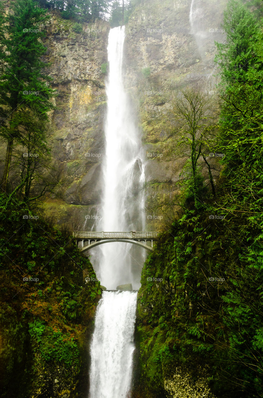 Waterfall, Water, Nature, Wood, No Person