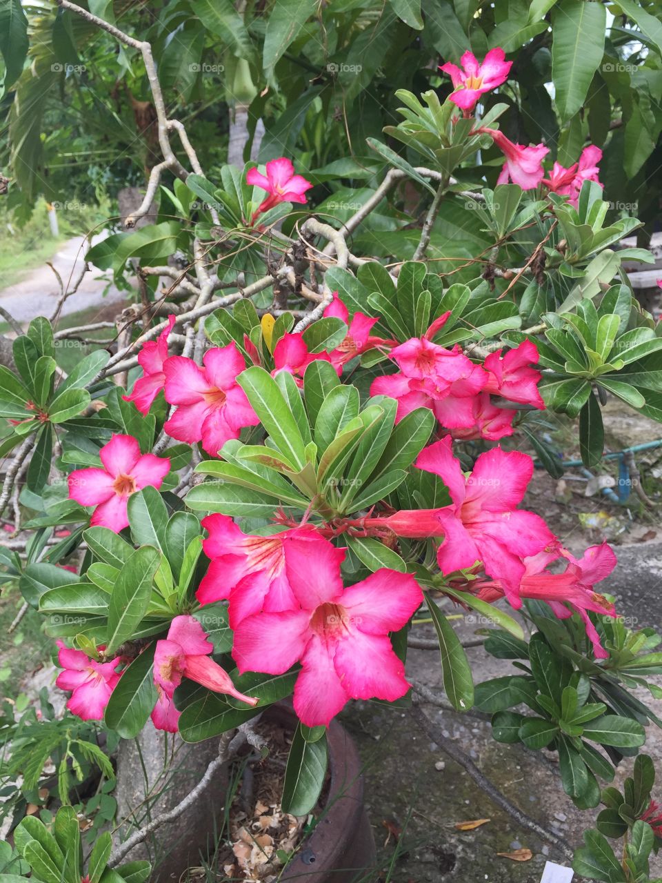 Be your own kind of beautiful :)