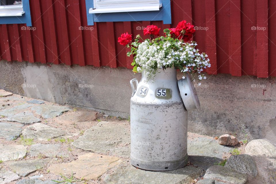 Milk can with flowers