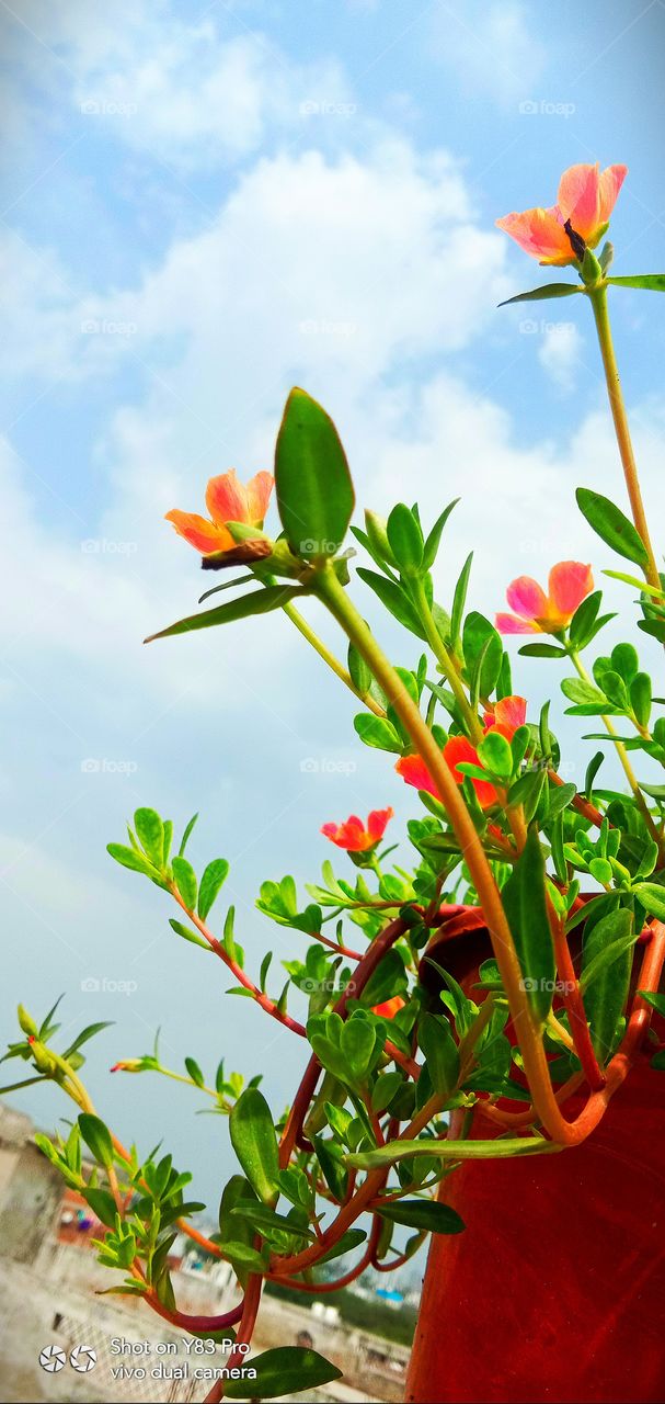 #today #love #instagram #instagood #like #follow #photography #life #photooftheday #me #happy #picoftheday #beautiful #instadaily #nature #fashion #photo #art #likeforlikes #smile #motivation #myself #now #style #day #selfie #music #insta #l #bhfyp