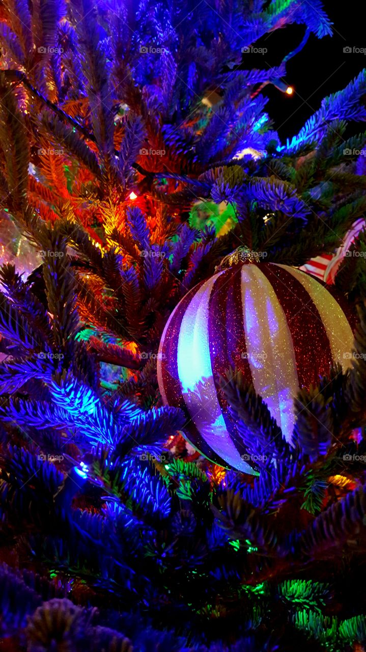 Christmas, Celebration, Decoration, Ball, Color