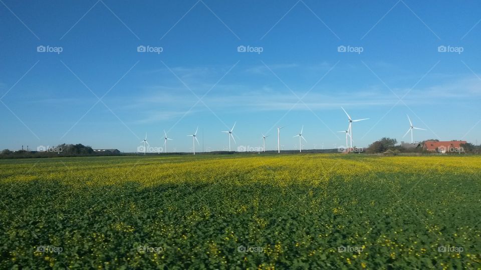 Wind Farms and Turbines