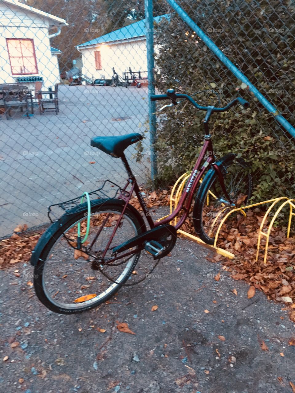 Wheel, Bike, No Person, Street, Road