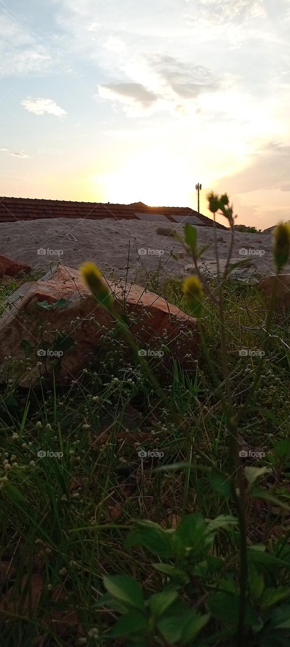 sunset black jack breath