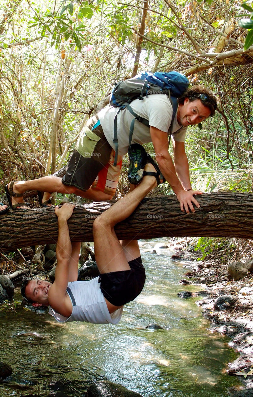 nature tree water forest by lenusik