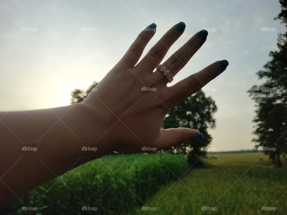 These are summer crops farm. This greenery has my heart 💚