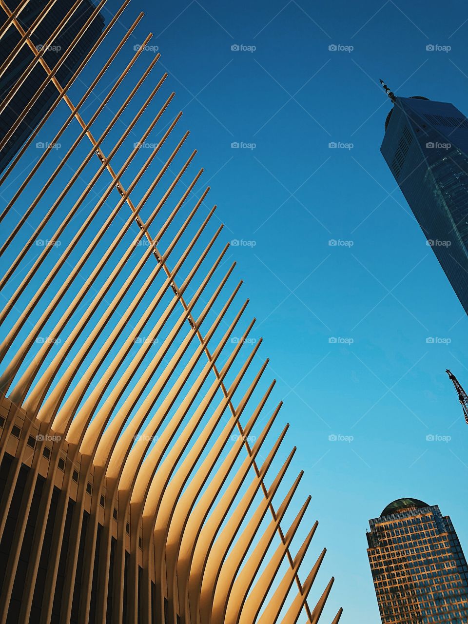 The Oculus, Downtown New York City, 9/11 Memorial, Skyscrapers In New York, Blue Skies And Tall Buildings 