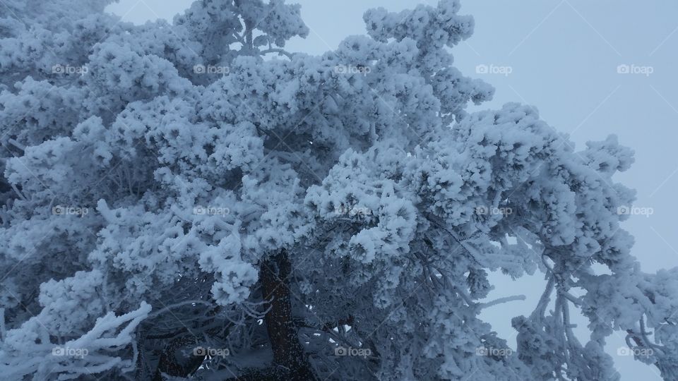 black and white . our climb was 1000 steps from the snow but it was just an uphill