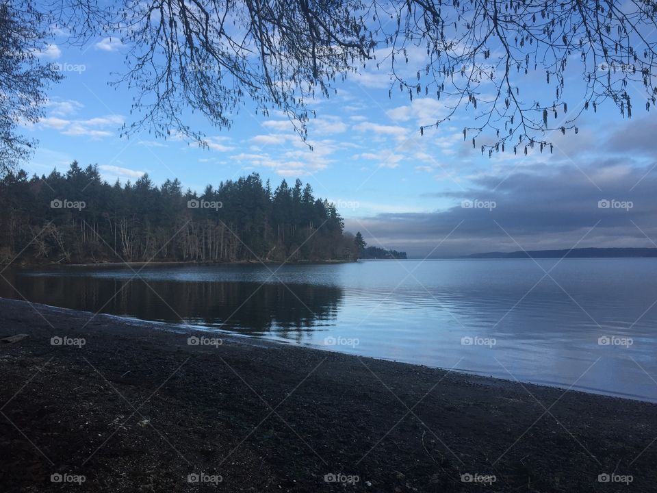 Tolmie State Park in Washington. March 2018. 