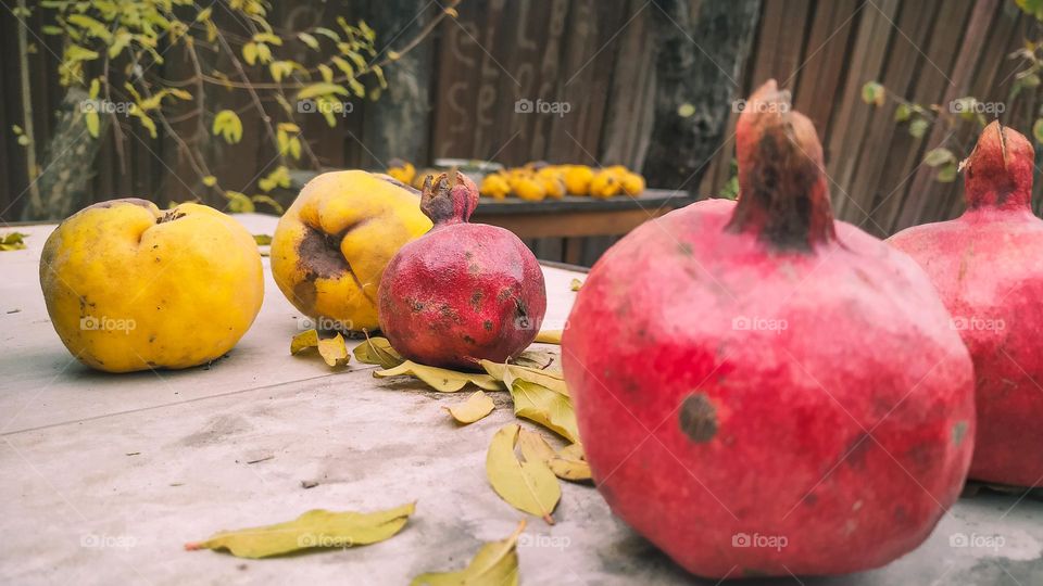 pomegranate