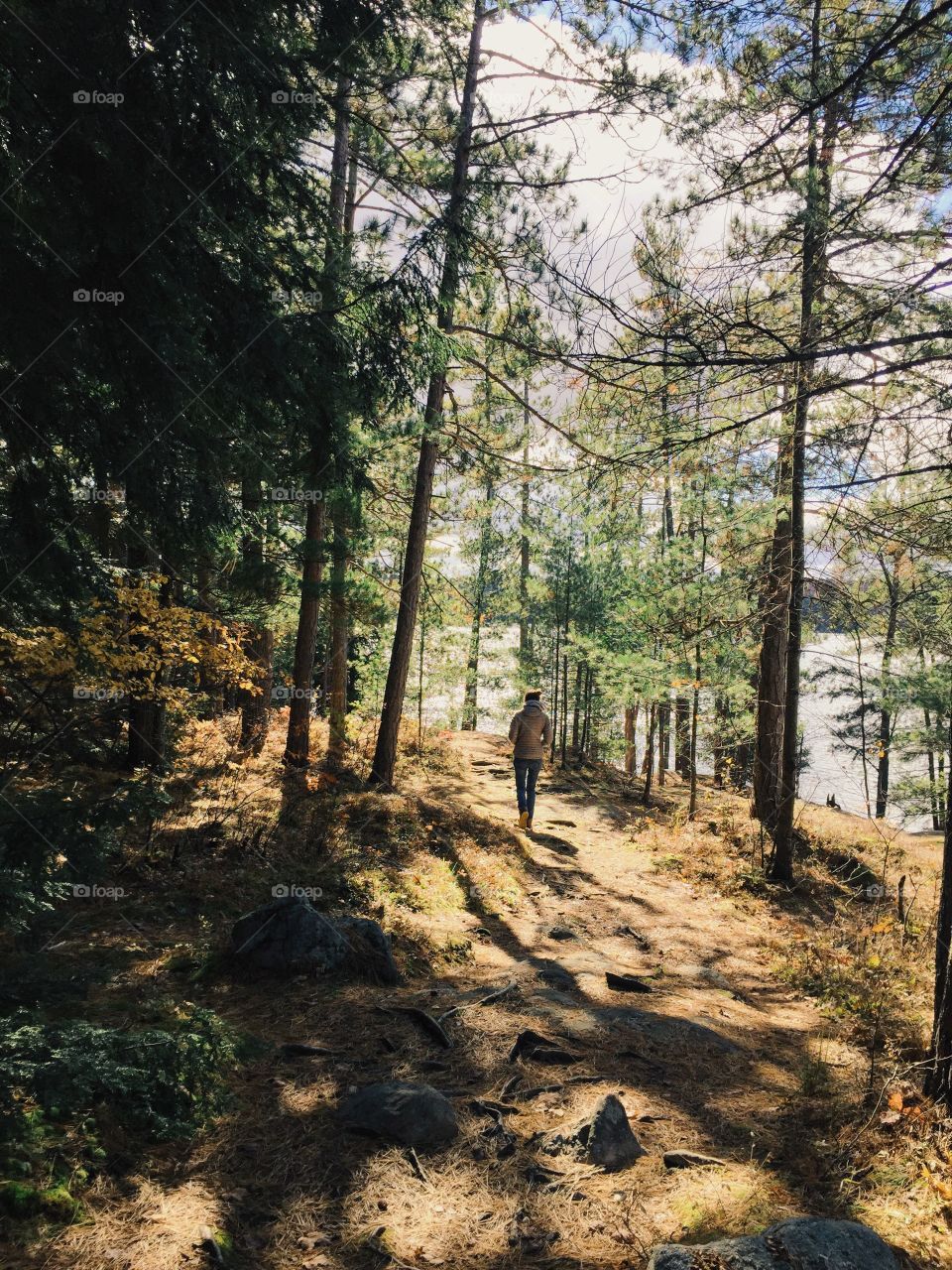 Hiking through Canadian forest