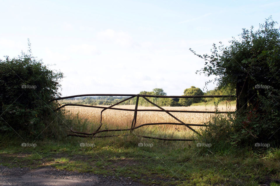 sky summer countryside gate by dannytwotaps