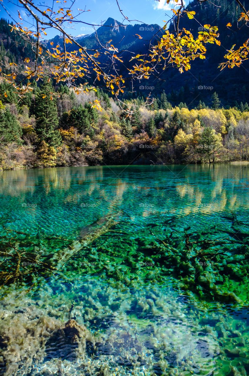 Jiuzhaigou nature reserve, Sichuan, china