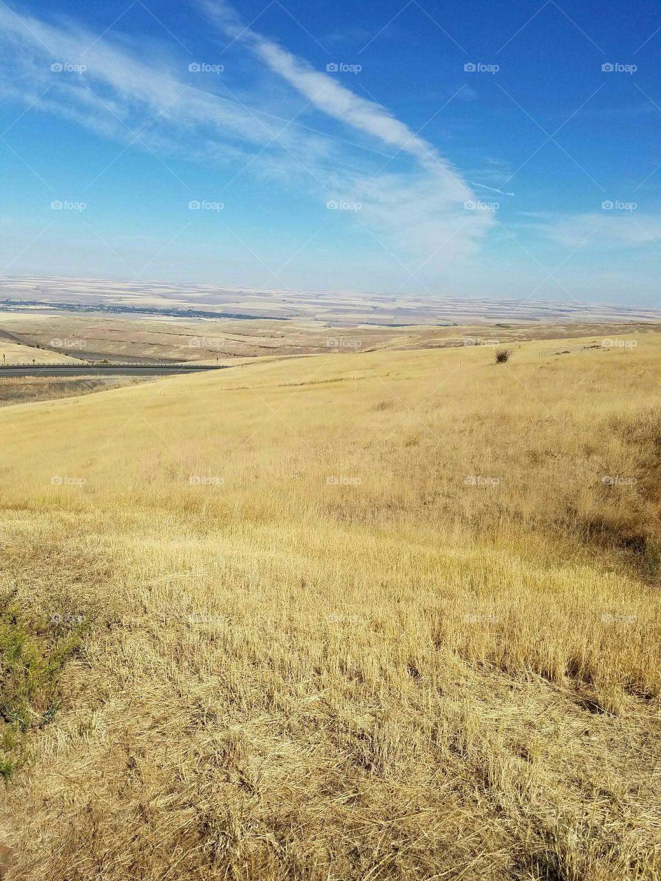 View of landscape