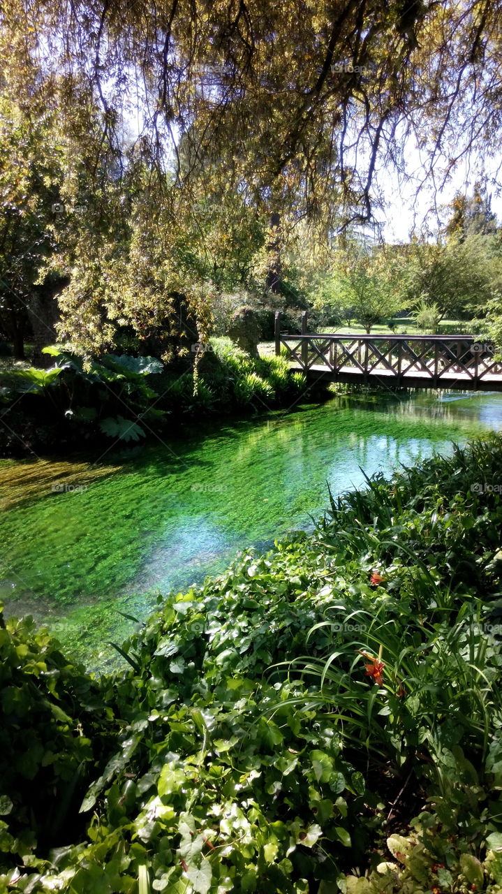 Scenic view of wooden bridge over river